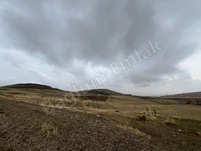 50MT YOLA YAKIN 30MT YOLA CEPHELİ 256 M2 SİTE ARSASI — fotoğraf 8